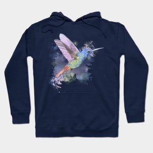 Cute Little Hummingbird Hoodie